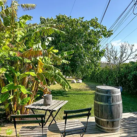 Ocean House - Next To Ribeira D'ilhas Surf * エリセイラ