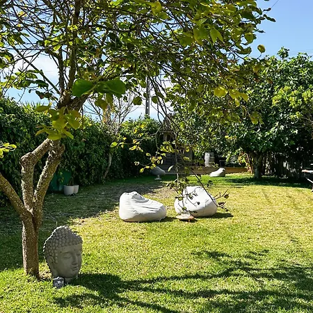 Ocean House - Next To Ribeira D'ilhas Surf ホステル *