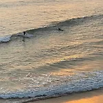 Ocean House - Next To Ribeira D'ilhas Surf Albergue