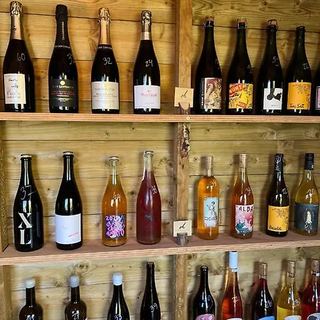 Hostel Ocean House - Next To Ribeira D'ilhas Surf