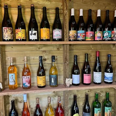 Ocean House - Next To Ribeira D'ilhas Surf *