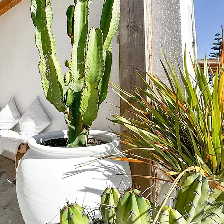 Ocean House - Ribeira D'ilhas Hostel Ericeira
