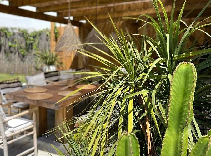 Ocean House - Next To Ribeira D'ilhas Surf *