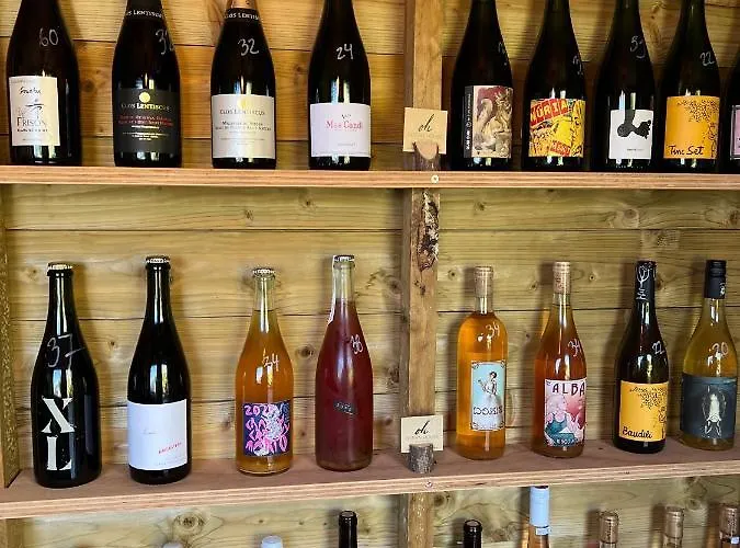 אכסניה Ocean House - Next To Ribeira D'ilhas Surf