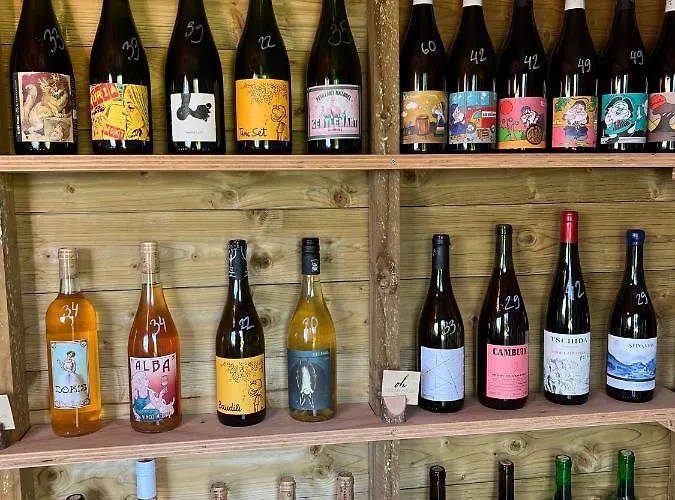 Ocean House - Next To Ribeira D'ilhas Surf *