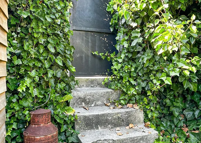 Ocean House - Next To Ribeira D'ilhas Surf אריסרייה